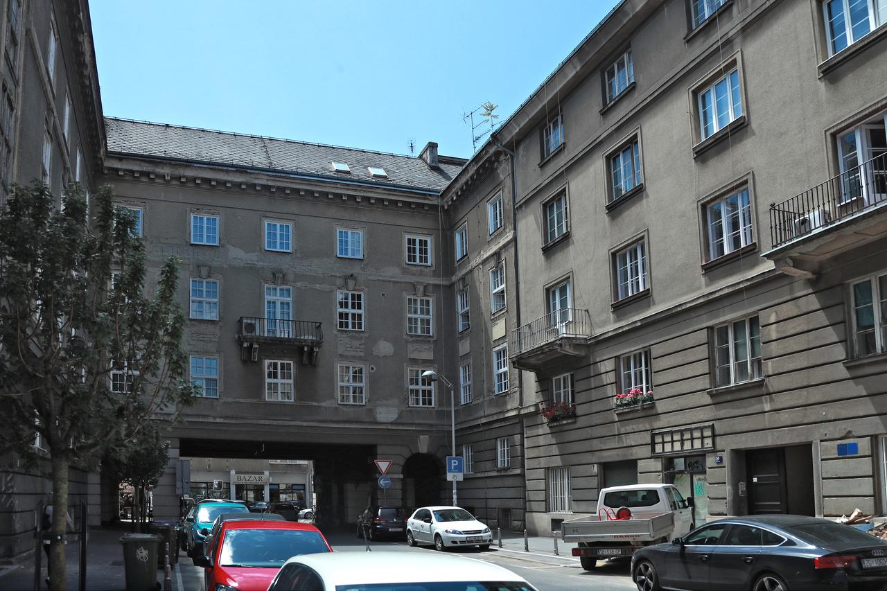 Zagreb: Mlado drvo izraslo na krovu zgrade